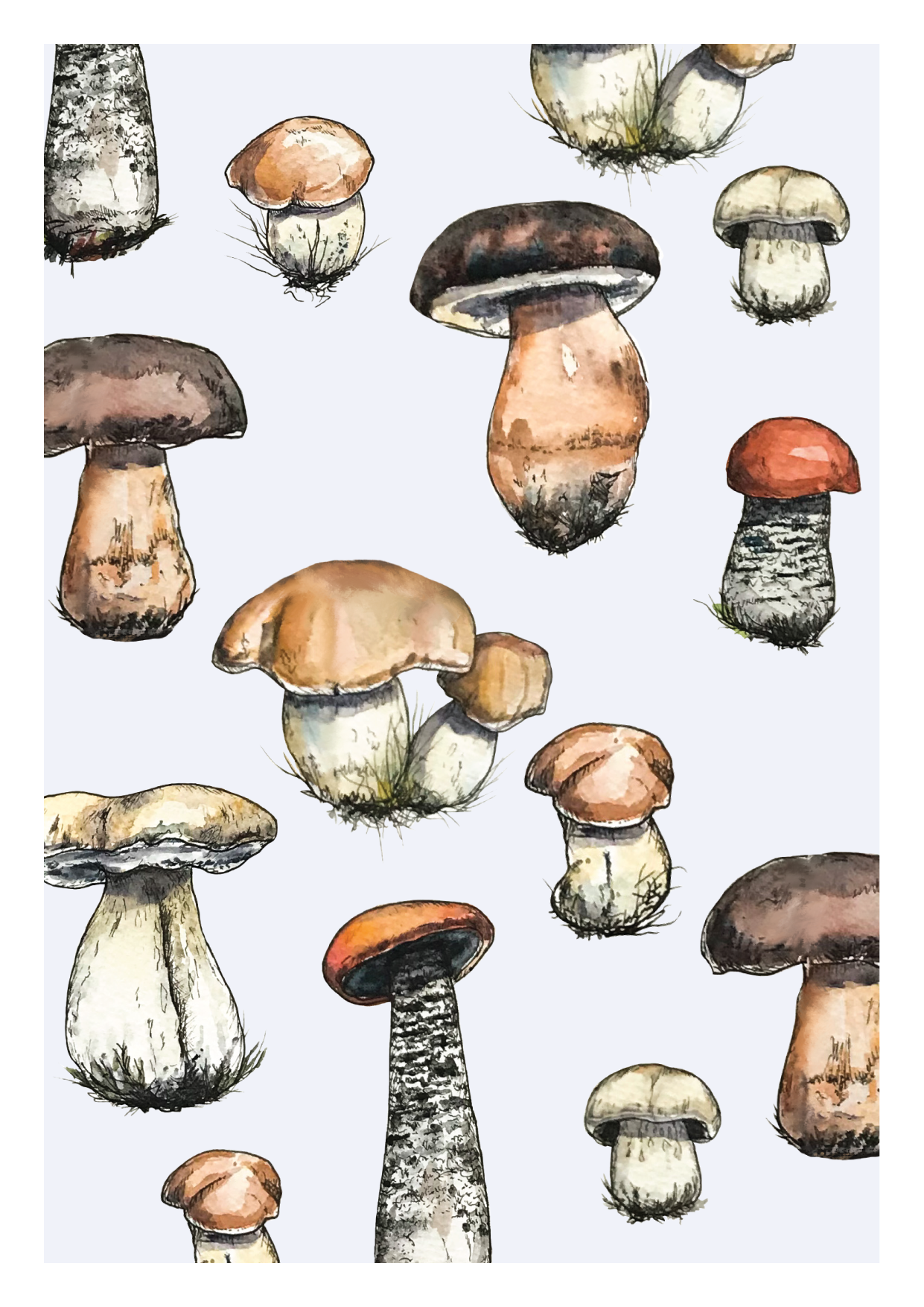 Sienet-postikortti, A6