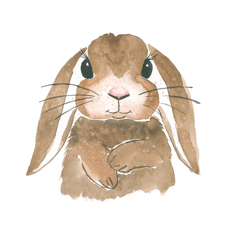 Alice-luppakorva, silityskuva