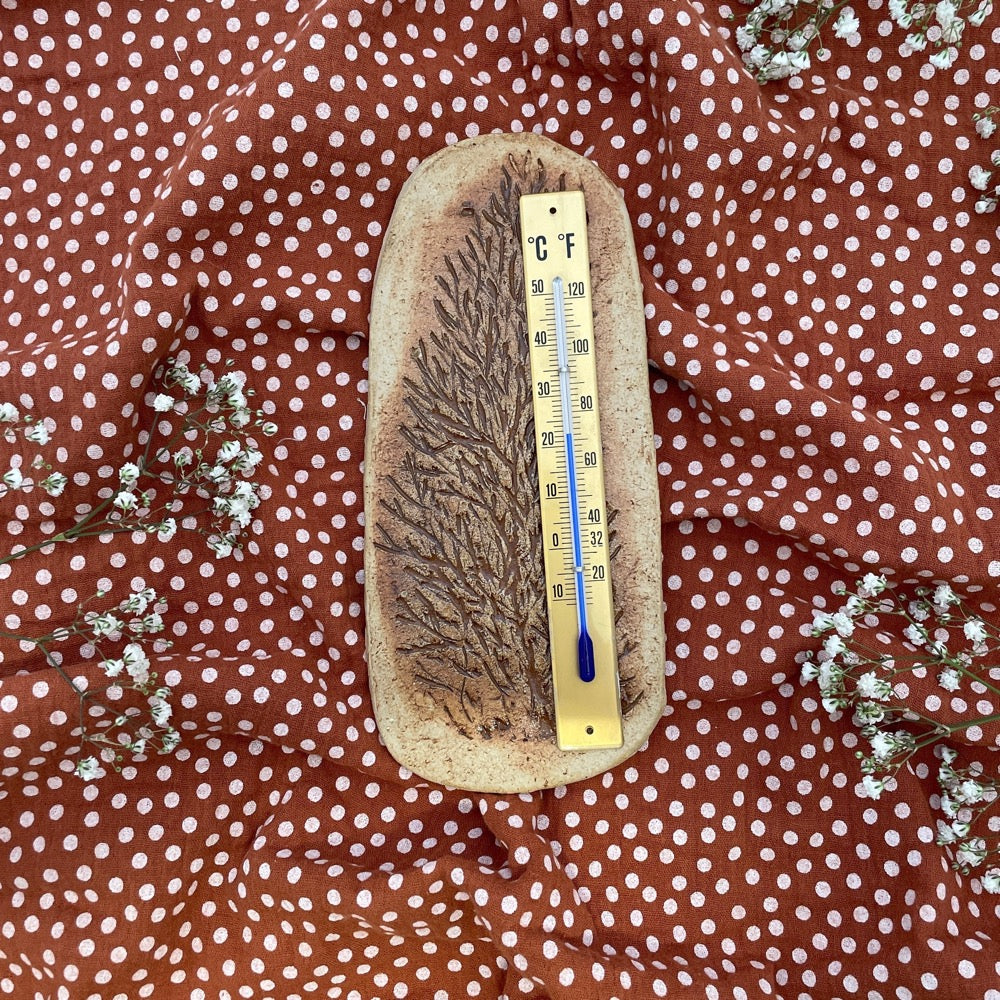 Savi-Seppo saunamittari Kasvu2 x Kaarnavilla