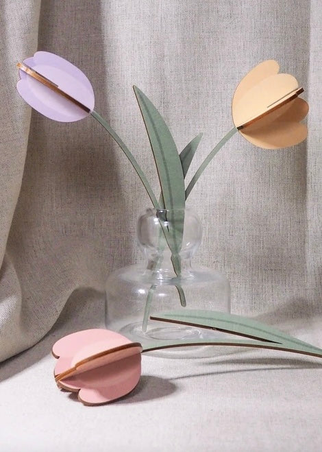 Saima Visuals tulppaanit