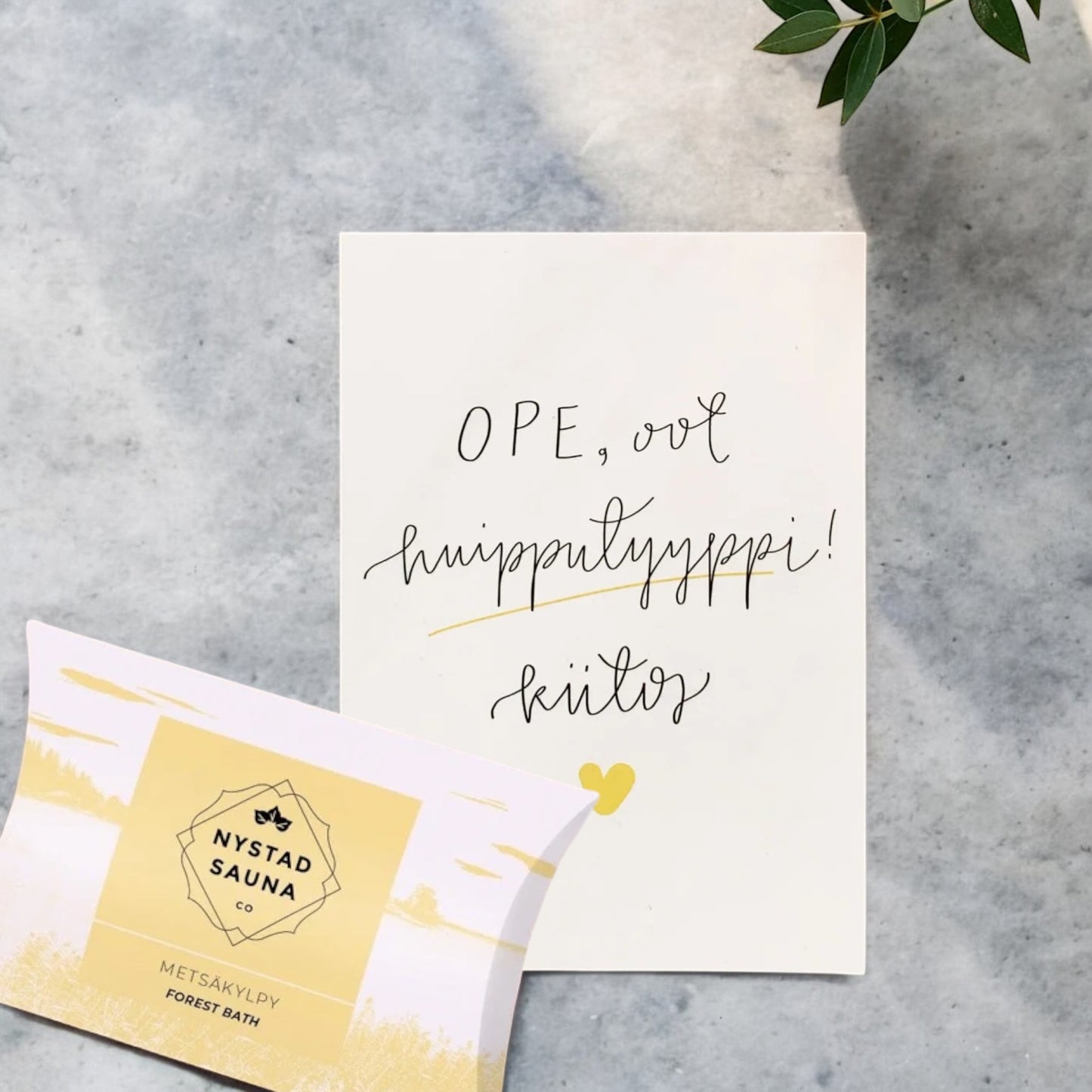 Lahja opettajalle / päiväkodin aikuiselle