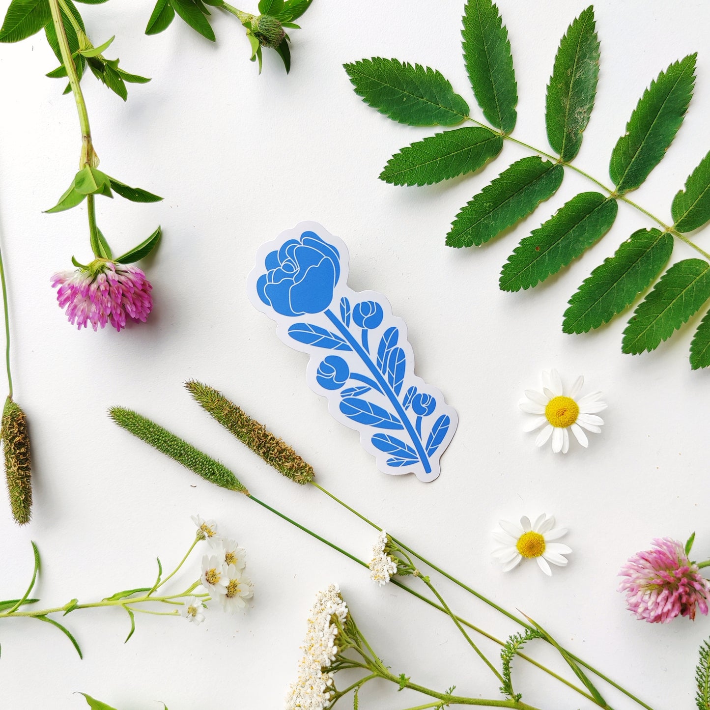 Emma Stapels brand blue flower-terra x Kaarnavilla