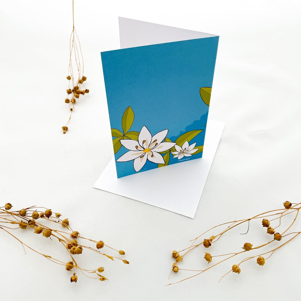 TeresaBast postikortti Kaarnavillan verkkokaupassa