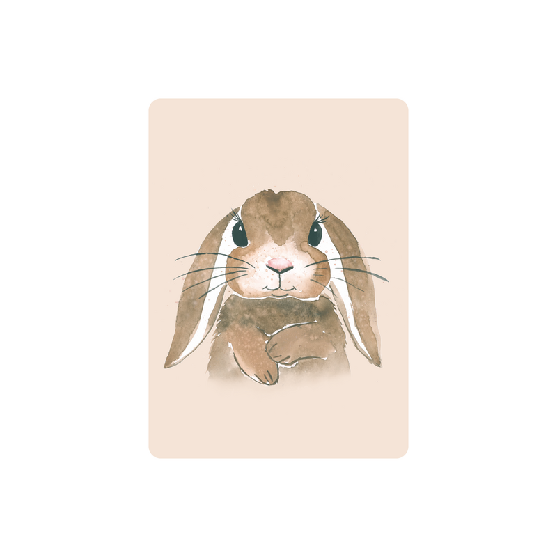 Alice-postikortti, A6