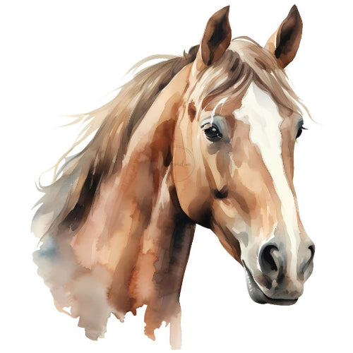 Hevonen silityskuva Poppaduu