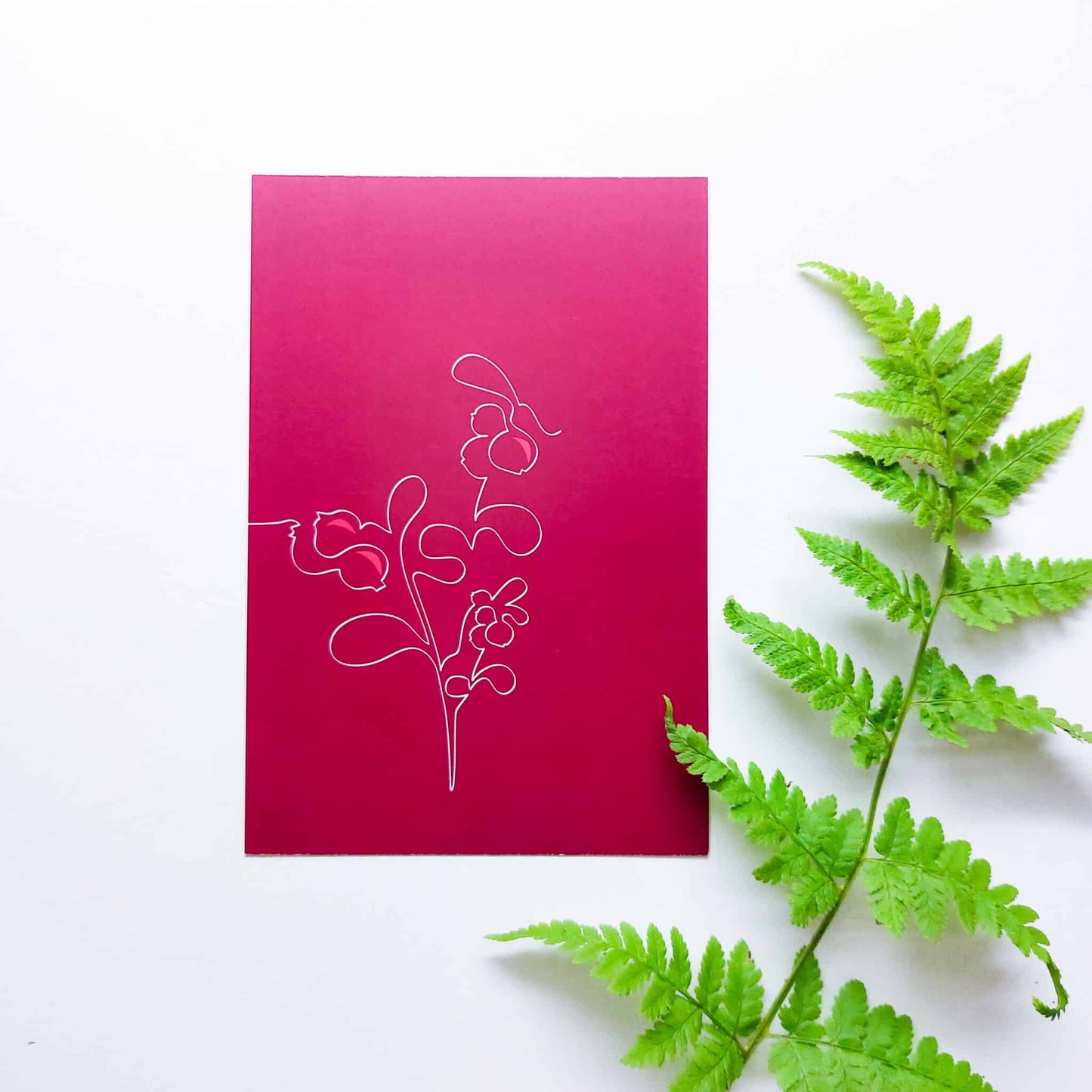 Tuuline Design punainen puolukka postikortti yhden viivan tekniikalla