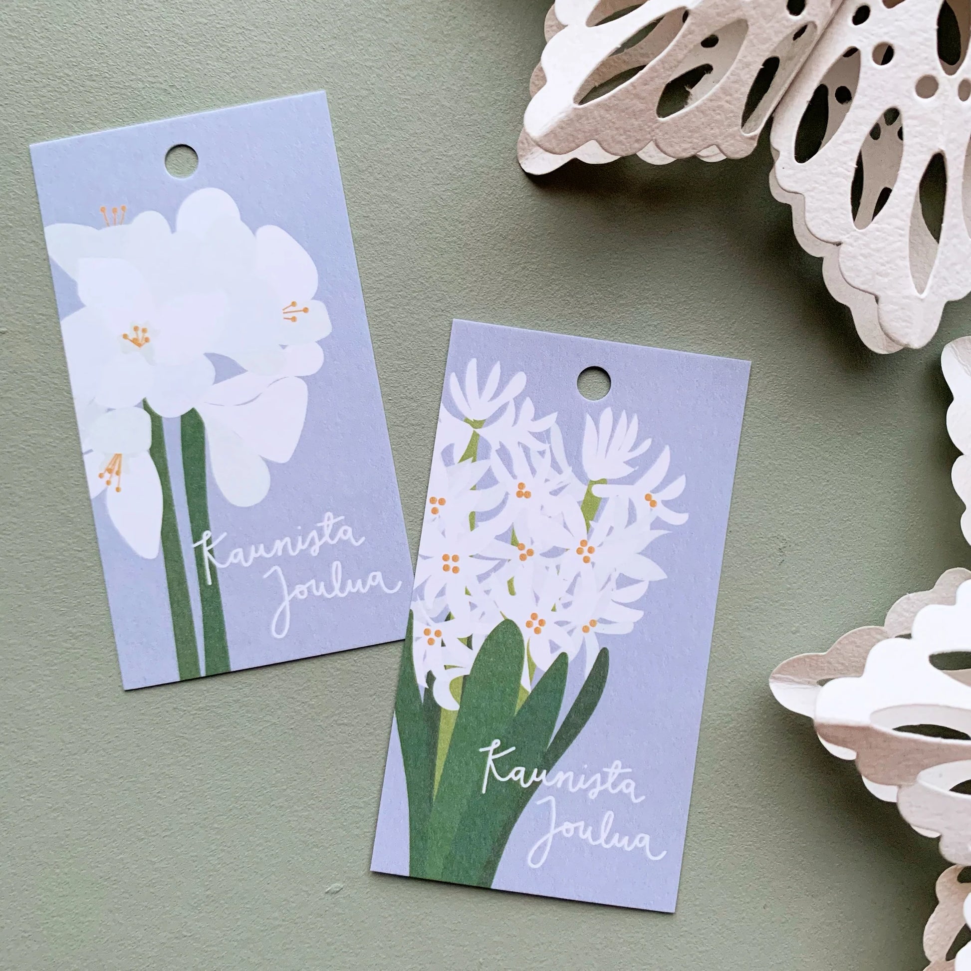 Hyasintti ja amaryllis pakettikortit.