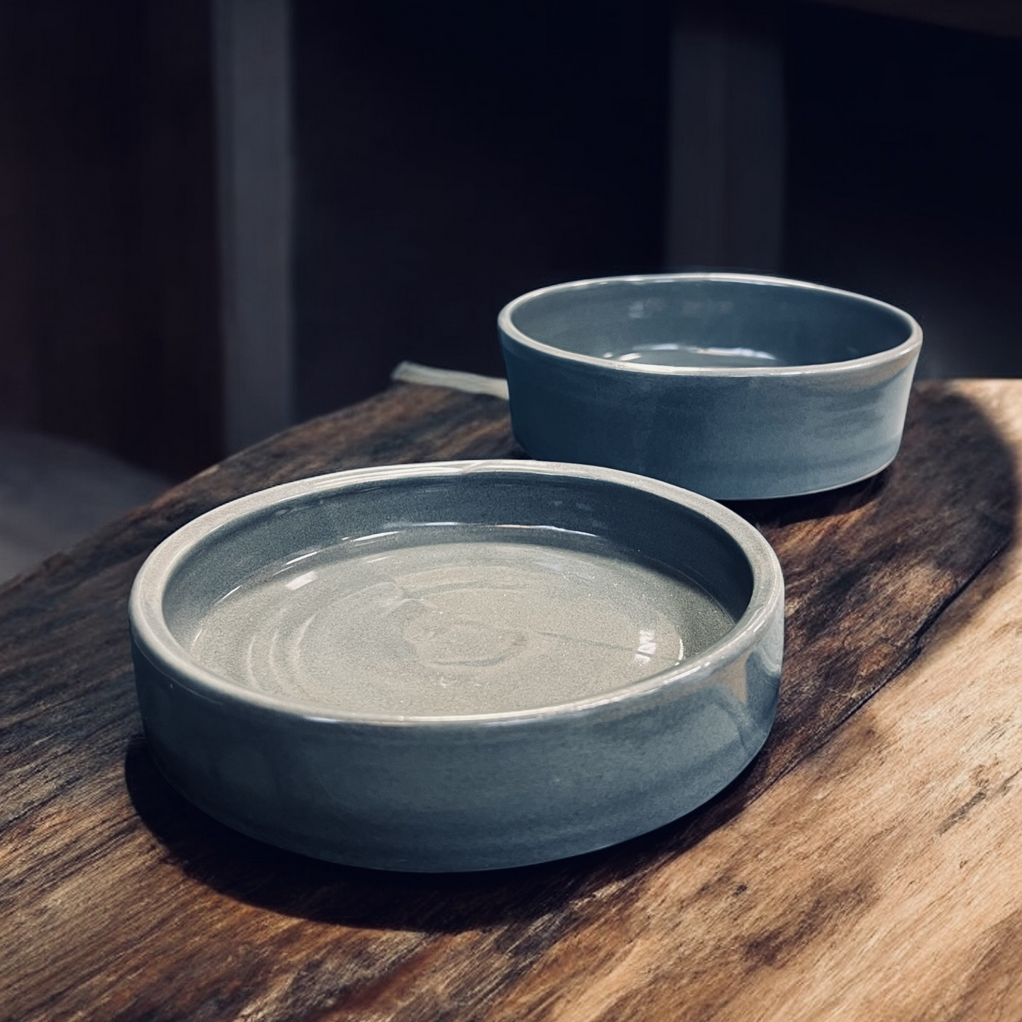 Ceramic pet food/drinking bowl