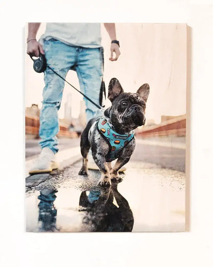 Printed picture board of your pet, Order product (various sizes)