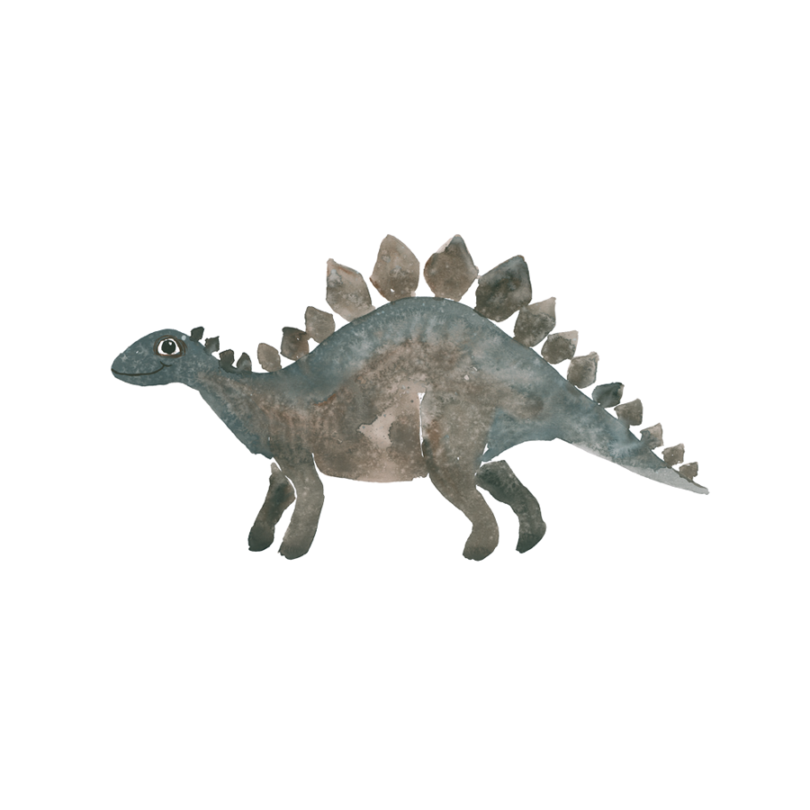 Stegosaurus, iron on image